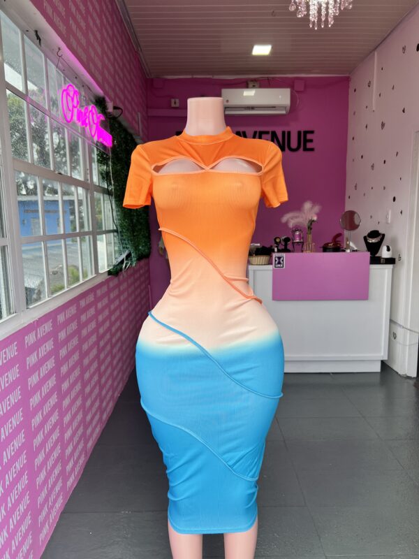 Two Tone Bodycon Dress